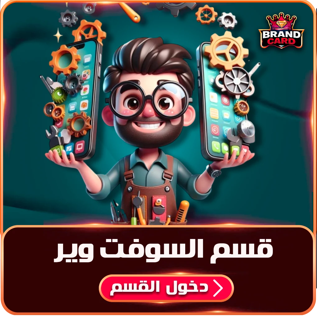 قسم السوفت وير